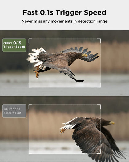 CY95 Full HD 4K 40MP Wlan Wildkamera with SD Card
